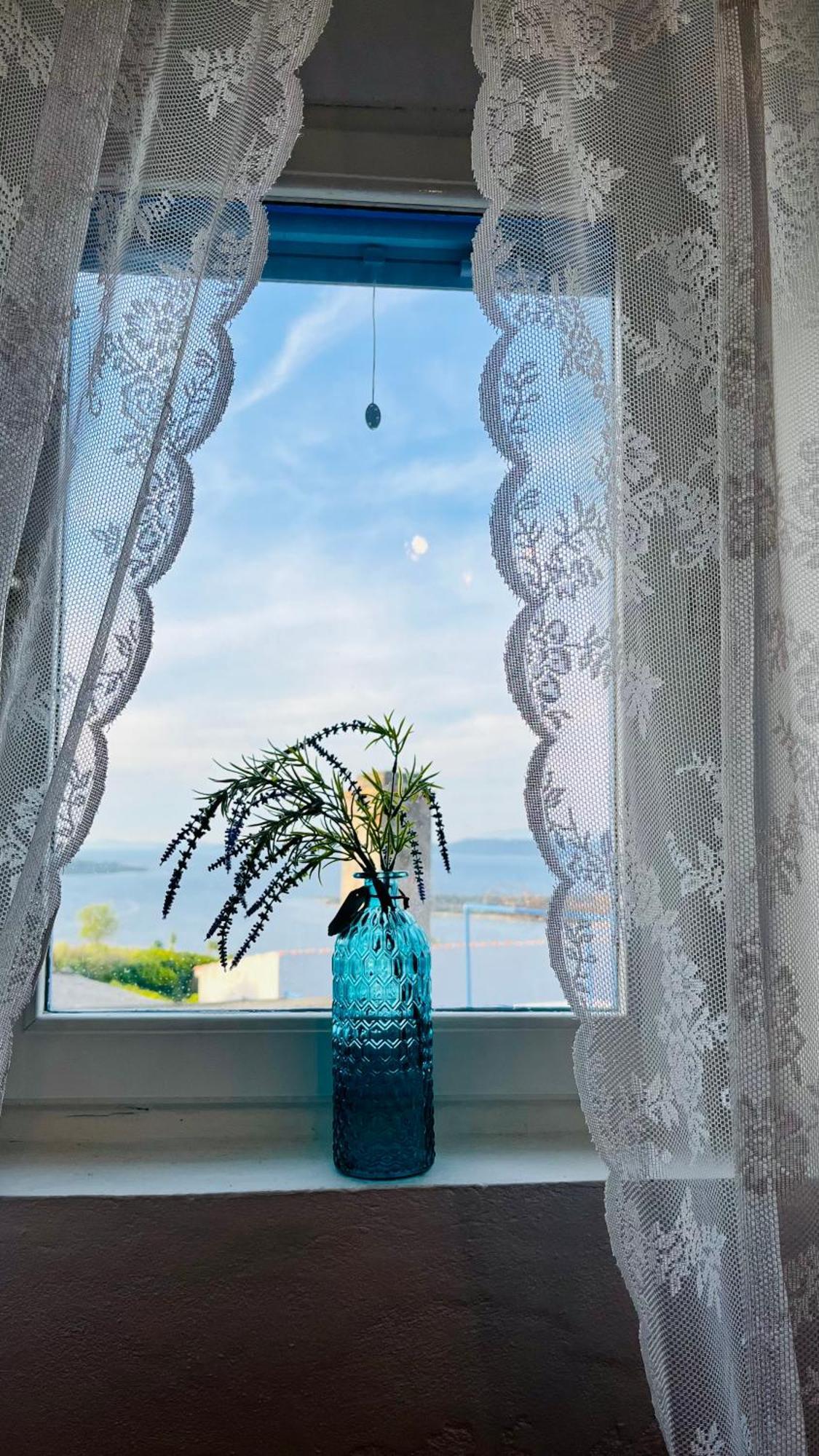Olivier House Villa Zaglav Buitenkant foto